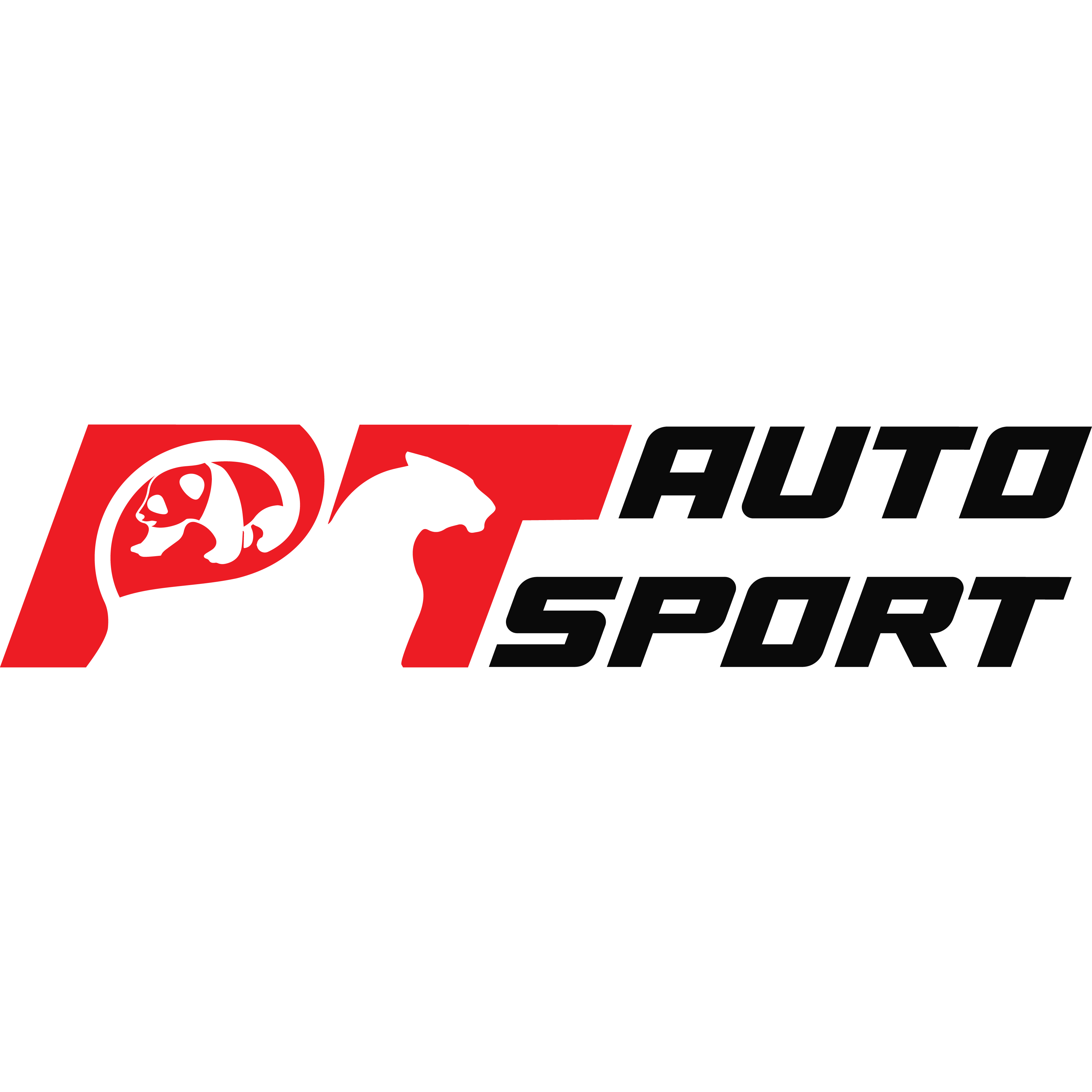 PT Autosport logo transparent square